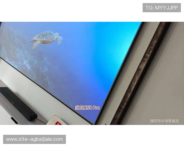 畅玩真人视讯电脑版官网平台，体验逼真互动带来的极致刺激